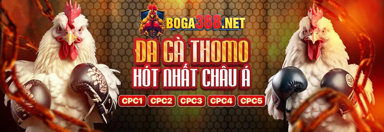 Đá Gà Trực Tuyến Hấp Dẫn tại bet4vn 2026